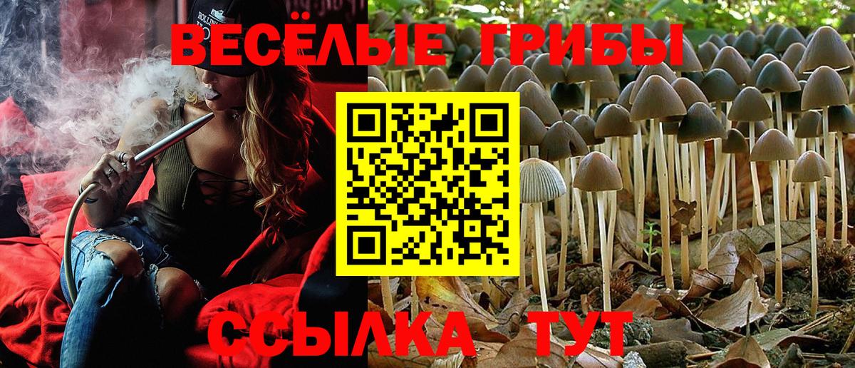 Галлюциногенные грибы ЛСД  Вход с VPN  Усть-Илимск 